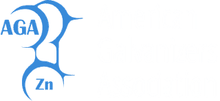 American Galvanizers Association